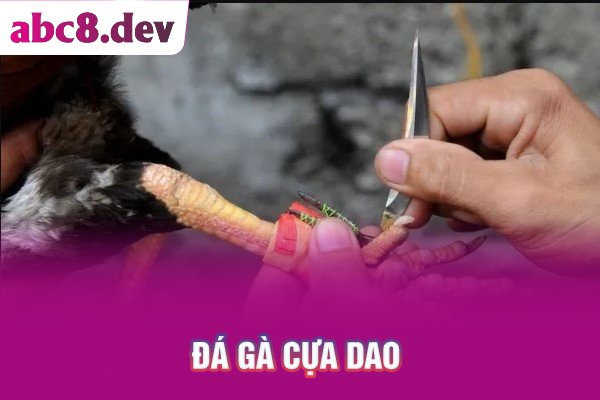 đá gà cựa dao