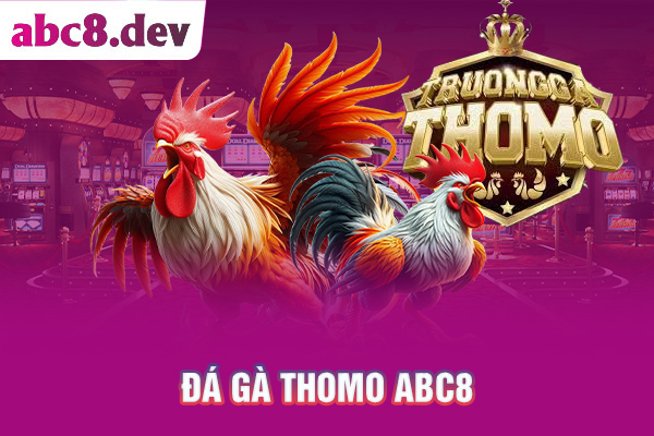 đá gà Thomo ABC8