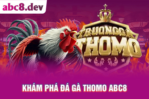 Khám phá đá gà Thomo ABC8
